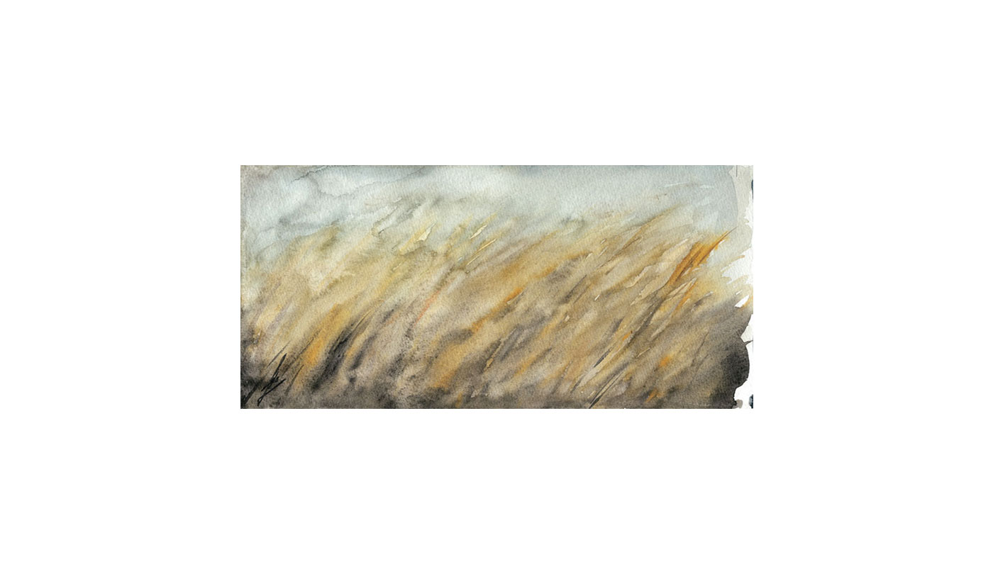 Watercolor  1995, 30X14 cm