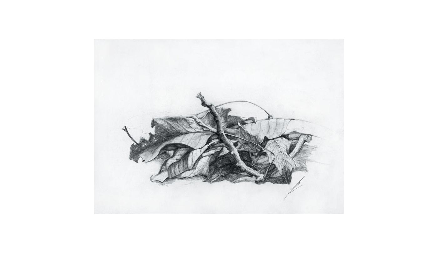 pencil drawing 2005, 34X25 cm