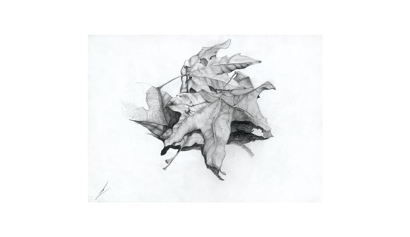 pencil drawing 2004, 34X25 cm